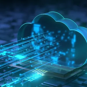 Quantum Circuit Emulator as a Service