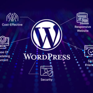 Virtual CRM Plugin Development Service